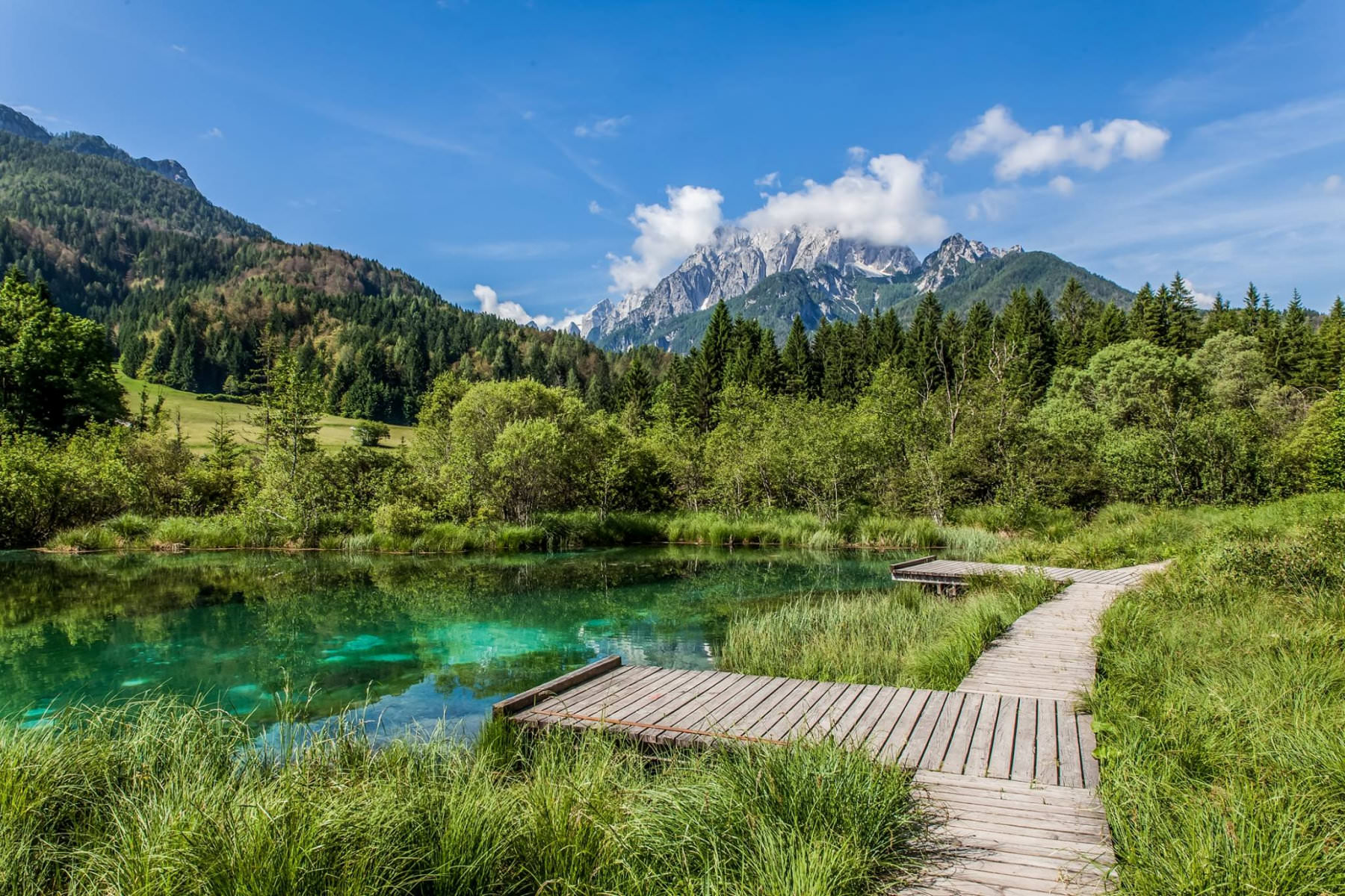 Zelenci Zelenci